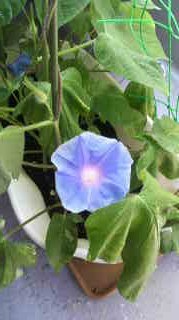 第1号 2011/07/02 09:27:05