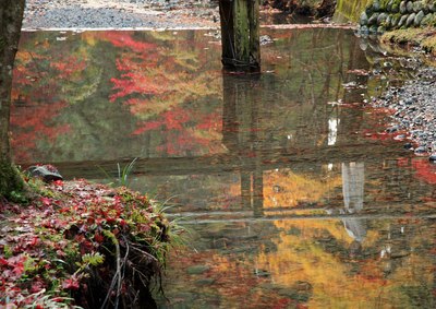 小國神社の紅葉