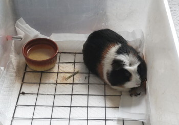 うーん、もう！？