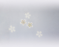春の衣 2020/03/14 14:55:01