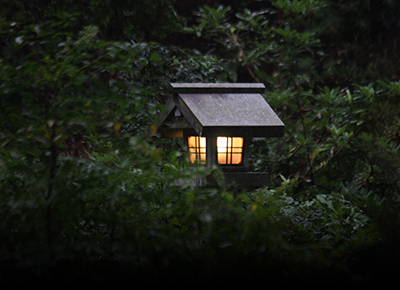 早朝の癒し　小國神社