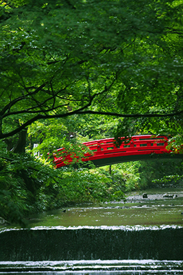 早朝の癒し　小國神社