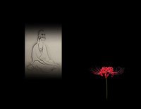 夕方の癒し