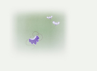 光感じて 2020/01/10 09:16:51