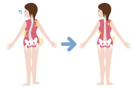 背骨関連がとても気になる