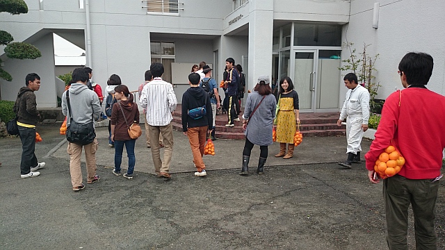 IN HAMA × Hamazo Presents！三ヶ日でみかん狩りして来ました。