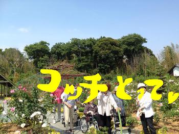 お花の匂いに誘われて？