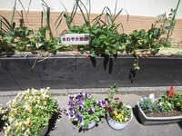 さわやか農園 2023/05/08 11:31:09