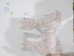 ぬり絵