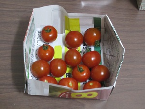 つまみ食いしました