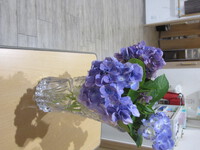 紫陽花 2023/07/03 13:56:43