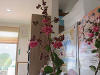 今日のさわやか(^^)/ 2023/08/04 15:36:24
