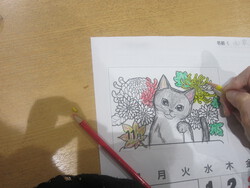 今日ののさわやか(^^♪