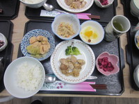 今日のお昼ご飯は？＆さつまいもの森？ 2023/11/01 15:24:57