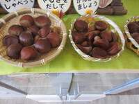 秋の味覚といえば・・・・・。 2023/10/28 17:00:00