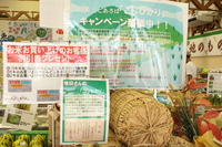 増田さんのコシヒカリ