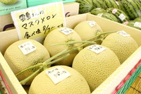 メロン好評販売中