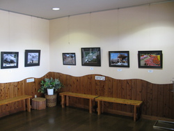 小さな写真展