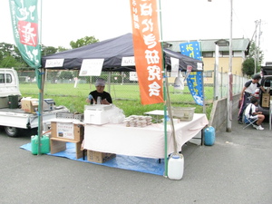 とよおか夜店市