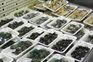 鮮魚販売はじめました