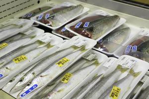 鮮魚販売はじめました
