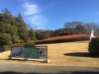 たまには