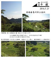 ナハナハナハ