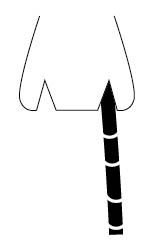 ケンシロウ診断