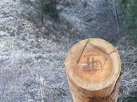 【報告】木こりになりに森へ行こう！ 2012/02/19 12:23:39