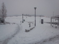 ＤＳ友の会 2012/02/18 10:39:28