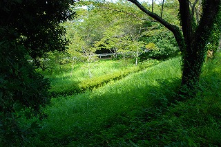 【Ｅ】宝谷池（ほうこくいけ）