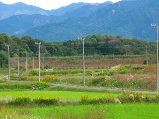 【Ｅ】新溜池（しんためいけ）