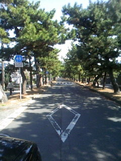 波の音が聞きたくて