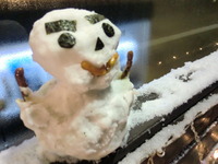 雪の日