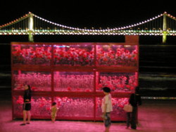 2008年9月10日（水）ストリートライブ