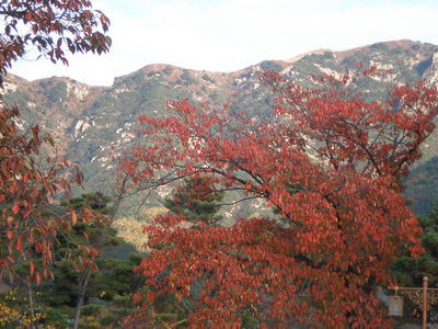 2008年11月16日（日）晩秋の昌寧  その５