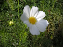 2008年9月14日（日）神仙台