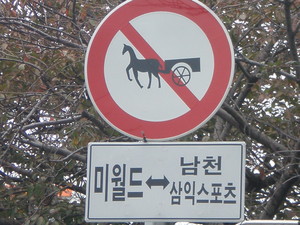 2008年11月6日（木）馬車通行禁止?!