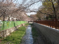 '09.3.28（土）ロマンス橋  余佐川