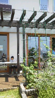 出店販売します♪6月27日ゆめ応援プラザにて