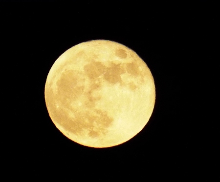 満月の夜