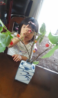 さくらんぼ狩り！ 2014/05/02 11:48:14