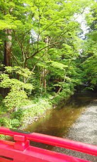 小國神社！ 2014/06/08 16:12:43
