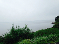 今日の細江湖 2015/05/04 15:34:04