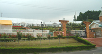 島田バラの丘公園 2008/06/09 19:00:07