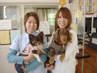 私、わんこが大好きです。 2009/02/08 13:32:42