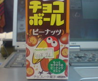 ショックな出来事 2008/05/07 22:12:01