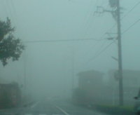 梅雨梅雨第２弾 2008/06/24 14:56:16