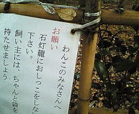 おねがい 2008/12/03 21:50:00