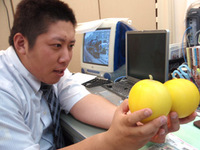 きいろい… 2008/06/30 18:34:25
